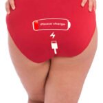 Womens Full Back Cover Basic Cotton Brief Panties